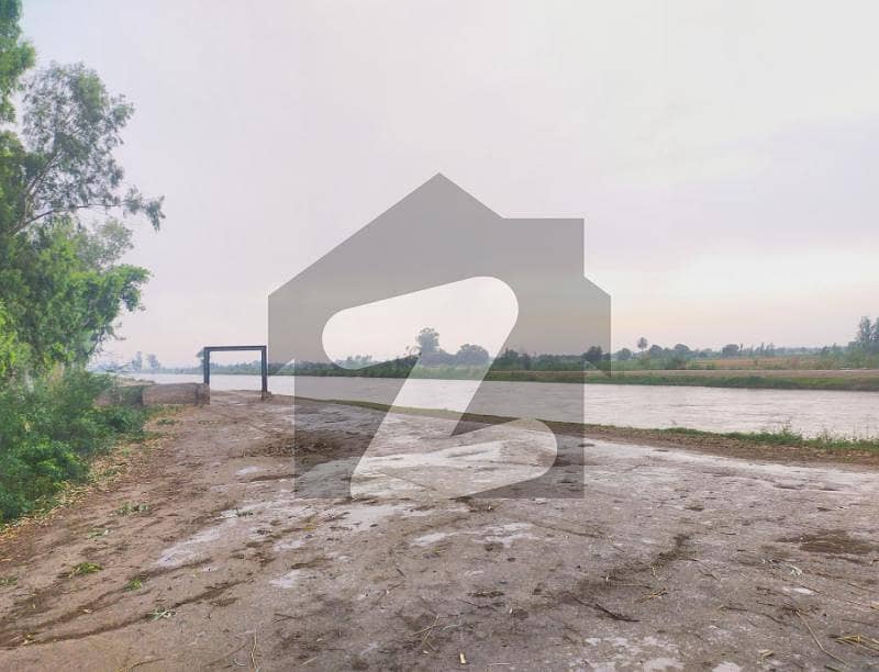 Ideal 6.5 Acer Agriculture Land For Sale Jaranwala Road, Faisalabad