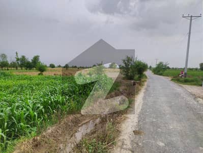 10 Acre Fully Agriculture Land For Sale Front Carpeted Road