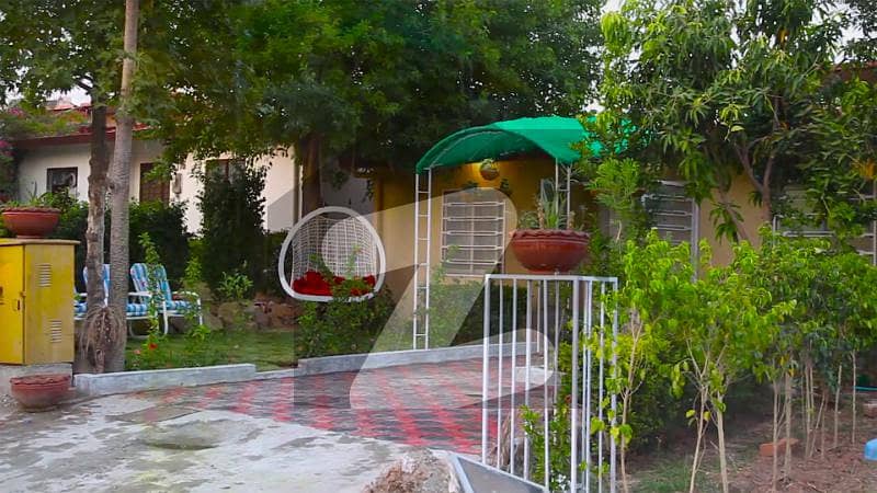5 Marla Single Storey Fully Furnished House For Sale Bahria Town Phase 8 Rawalpindi