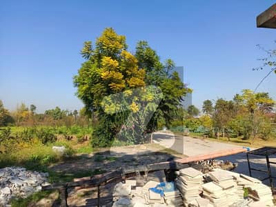 40 Kanal Extension Farm House Is For Sale