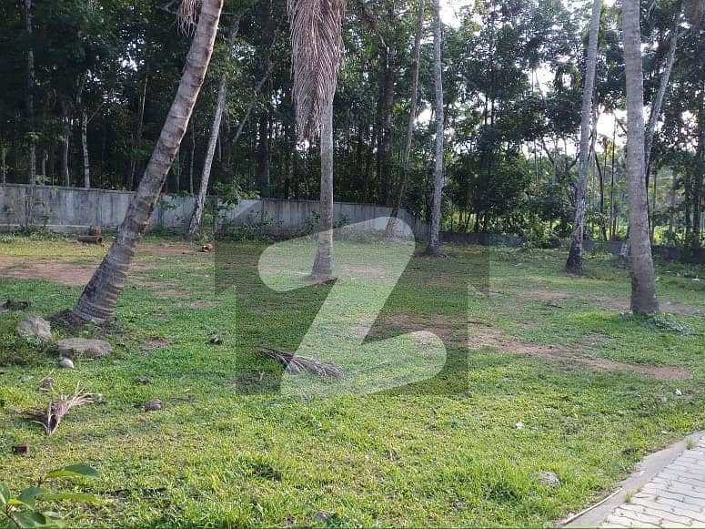 F-6 3 Standard Size Residential Plot is for SALE