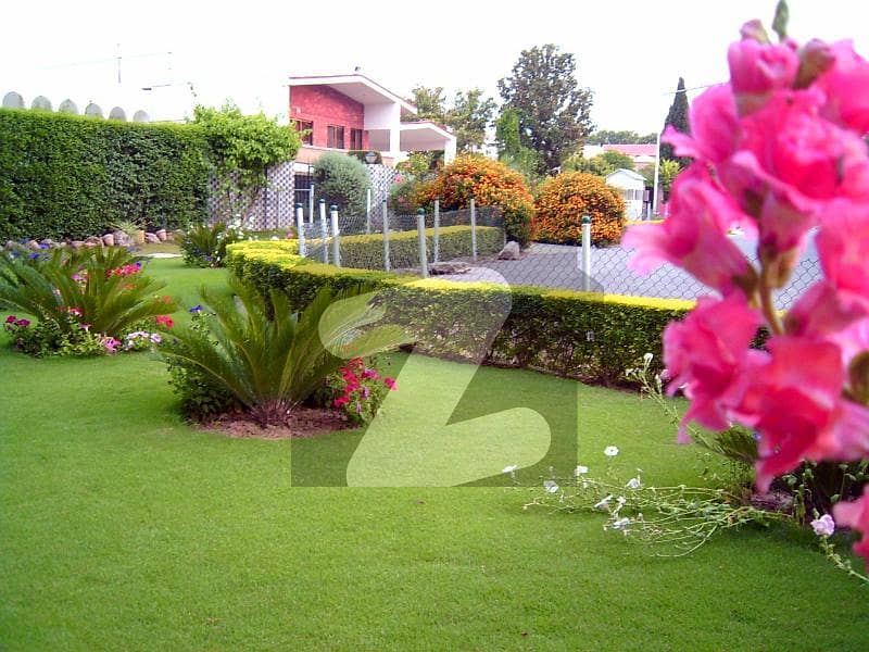 Beautiful House with Green Lush Lawn Very Prime Location