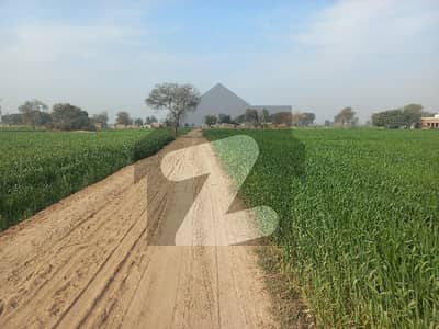 Agricultural Land For Sale Budhla Road Multan