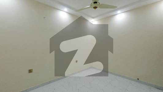 Brand New Fully Furnished Flat For Rent Rs30000/
