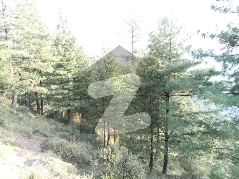 Good Location Murree Improvement Trust Colony Residential Plot Sized 1 Kanal Is Available