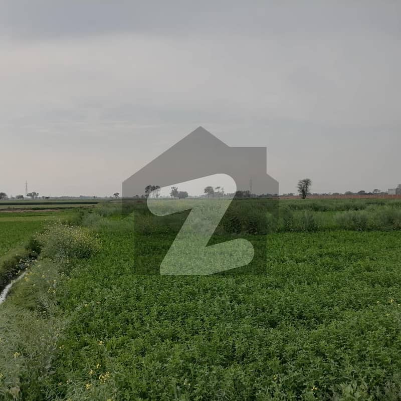 To sale You Can Find Spacious Agricultural Land In Kacha Pakka Noor Shah Road