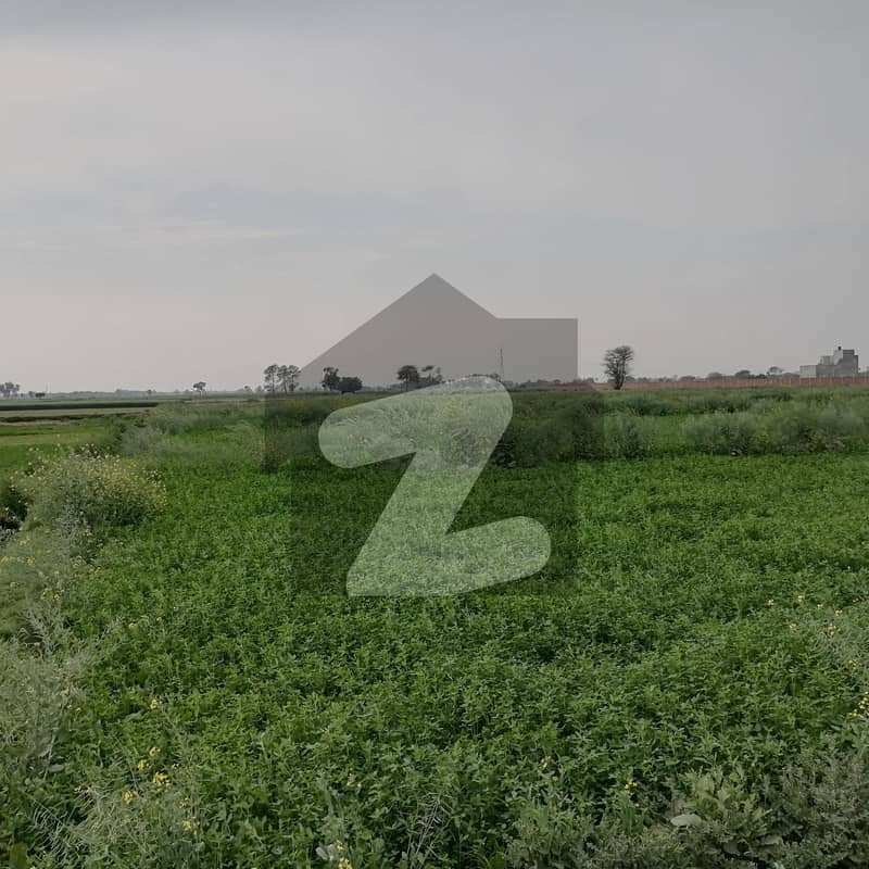 Agricultural Land Of 80 Kanal For sale In Arifwala Road