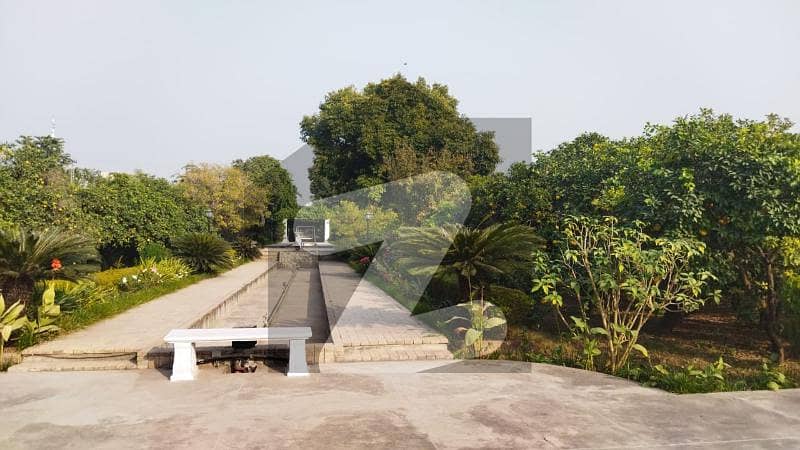 Furnished 28 Kanal Farmhouse With All Amenities Furnished 28 Kanal Farmhouse With All Amenities