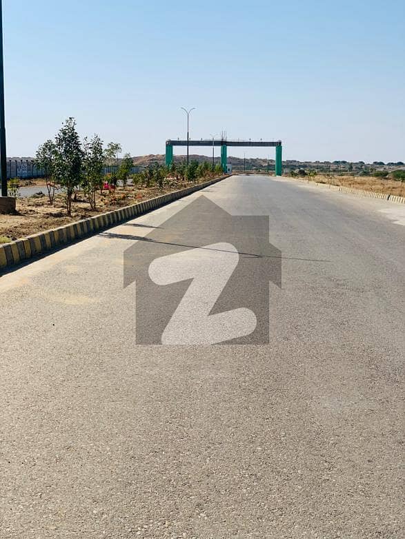 74 Sector 240 Yards Plot For Sale In Taiser Town