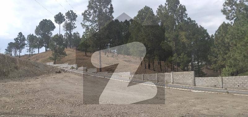 1 Kanal Plot Available For Sale Near To Metro Shoes Main Mansehra Road