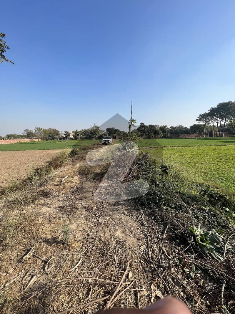کرباٹھ لاہور میں 1 کنال زرعی زمین 1.1 کروڑ میں برائے فروخت۔