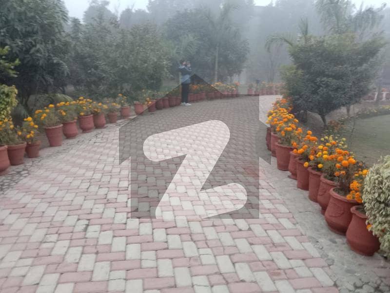 8 Kanal Farm House For Rent Main Bedian Road Bedian Road, Lahore