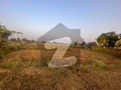 49500 Square Feet Commercial Plot Available In Daska Road For Sale
