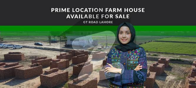 Prime location Farm House Land For Sale In Arabian Farms Bhaini Road Lahore