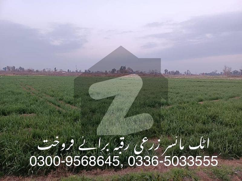 Farm House Land For Sale In Mansar, Hazro, District Attock, Punjab,pakistan