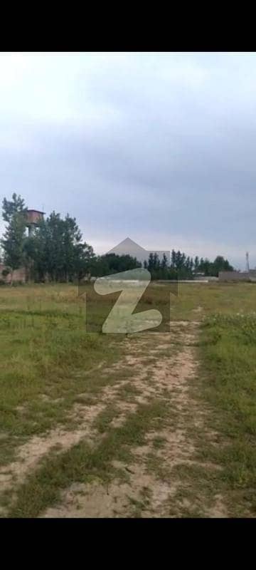 Top Of The Commercial Plot For Sale Location taru jabba Pasrur