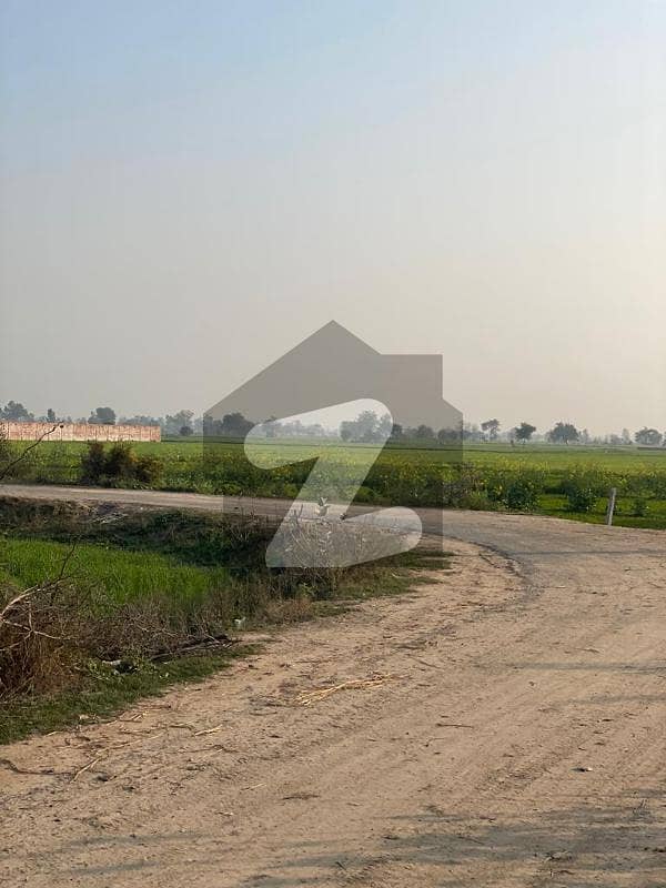 بیدیاں روڈ لاہور میں 16 کنال زرعی زمین 3.95 کروڑ میں برائے فروخت۔