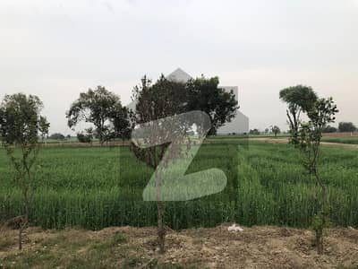 حربور لاہور میں 2 کنال زرعی زمین 70 لاکھ میں برائے فروخت۔