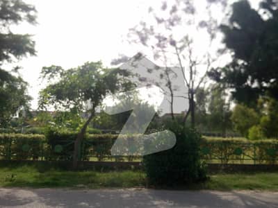 Get In Touch Now To Buy A Residential Plot In Lahore