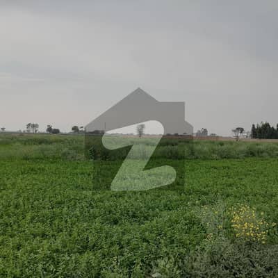 Agricultural Land and Agriculture Plots for Sale in Sahiwal - Zameen.com