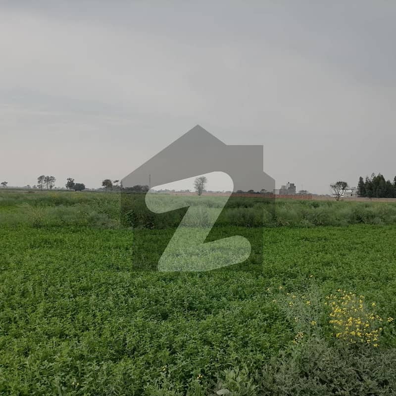 208 Kanal Agricultural Land Is Available In Harapa Road