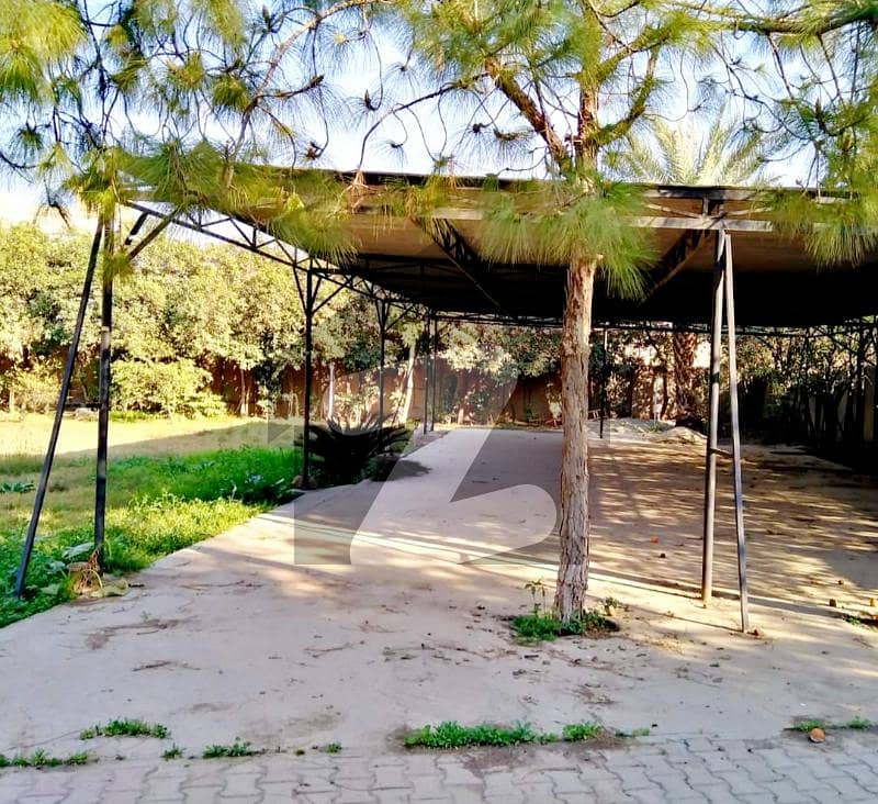 House Available For Rent In University Town Peshawar House Available For Rent In University Town Peshawar