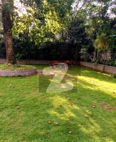 یونیورسٹی ٹاؤن پشاور میں 6 کمروں کا 2 کنال مکان 5.0 لاکھ میں کرایہ پر دستیاب ہے۔