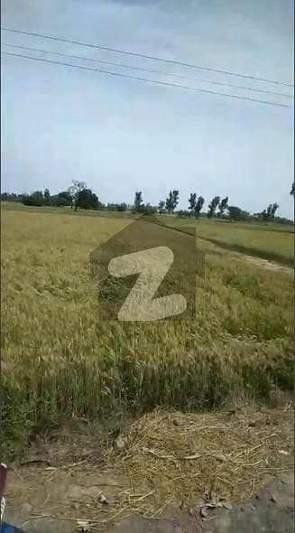 12 Acre Agricultural Land For Sale With 6 Acre Front In Raja Jang Main Raiwind Kasur Road 6 Km Raiwind