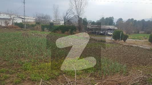 1 Kanal Plot Available For Sale In Usmanabad Abbottabad