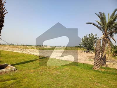 ضیا ٹاؤن چک 208 روڈ فیصل آباد میں 19 مرلہ رہائشی پلاٹ 2.52 کروڑ میں برائے فروخت۔