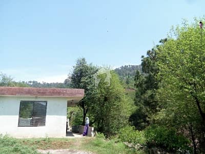 Beautiful Constructed Farm House For Sale On Murree Motorway