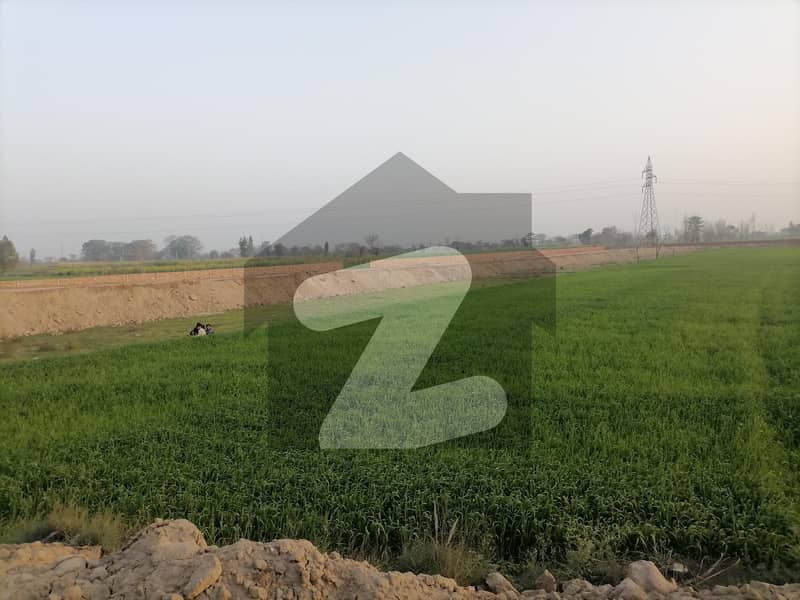 Centrally Located Agricultural Land In Harapa Road Is Available For sale