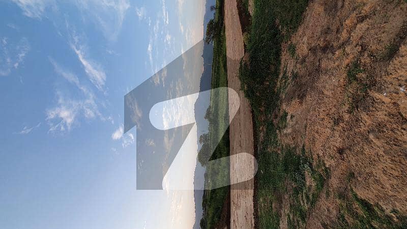4 Marla plot for sale 4 Marla plot for sale