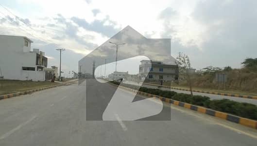Main double Road back plot