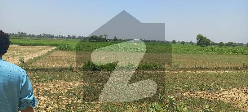 جاہمن لاہور میں 2 کنال زرعی زمین 25 لاکھ میں برائے فروخت۔