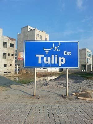 Tulip Extension - 5. 33 Marla Plot For Sale