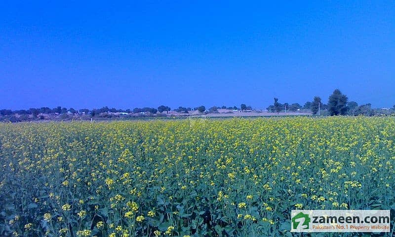 Two Murabba Land For Sale Two Murabba Land For Sale