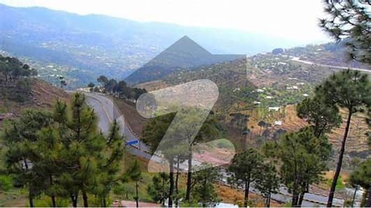 Beautiful And Affordable Land For Sale In Ultimate Location Of Murree Expressway
