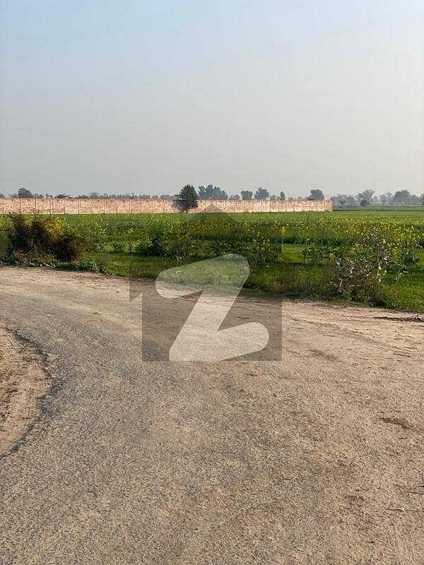 بیدیاں روڈ لاہور میں 15 کنال زرعی زمین 3.3 کروڑ میں برائے فروخت۔