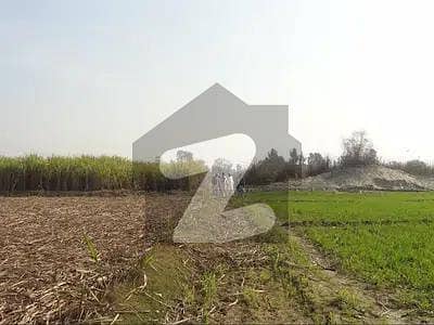 Excellent Agriculture Land-Very Suitable Price