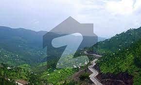 Plot For Sale On Prime Location Of Murree