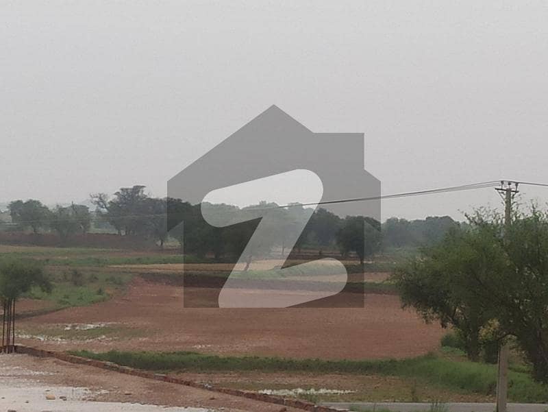 دہری ولیج روڈ راولپنڈی میں 10 کنال زرعی زمین 1.3 کروڑ میں برائے فروخت۔
