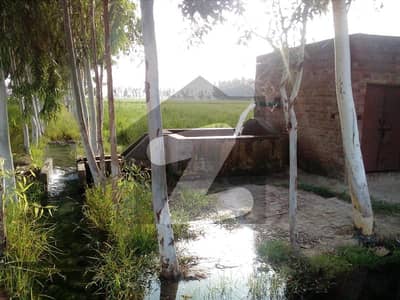 لاہور - جڑانوالا روڈ لاہور میں 560 کنال زرعی زمین 28 کروڑ میں برائے فروخت۔