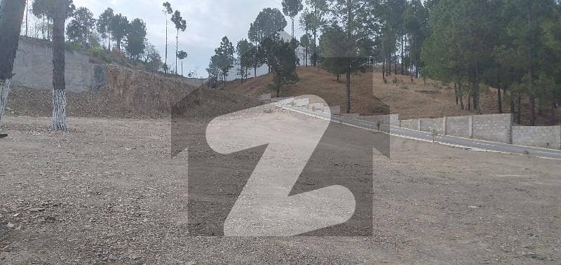 13 Marla Plot Available For Sale At Maira Muzaffar Abbottabad