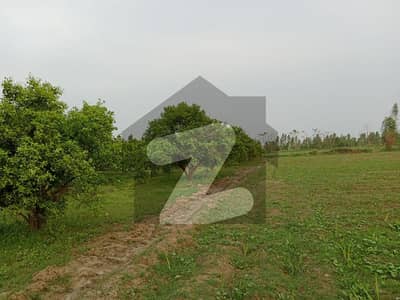 40 acre agriculture land for sale
