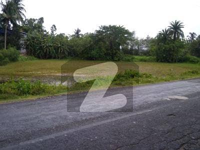 4 Kanal Land For Sale In Raja Jang In Very Cheap Price Best For Farm House
