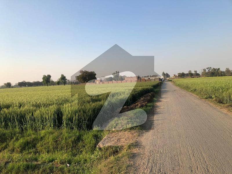 4 Kanal Farmhouse Land For Sale Hevellian Road Mozza Jahman Bedian Road
