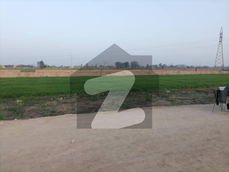 Agricultural Land For sale In Harapa Road Harapa Road