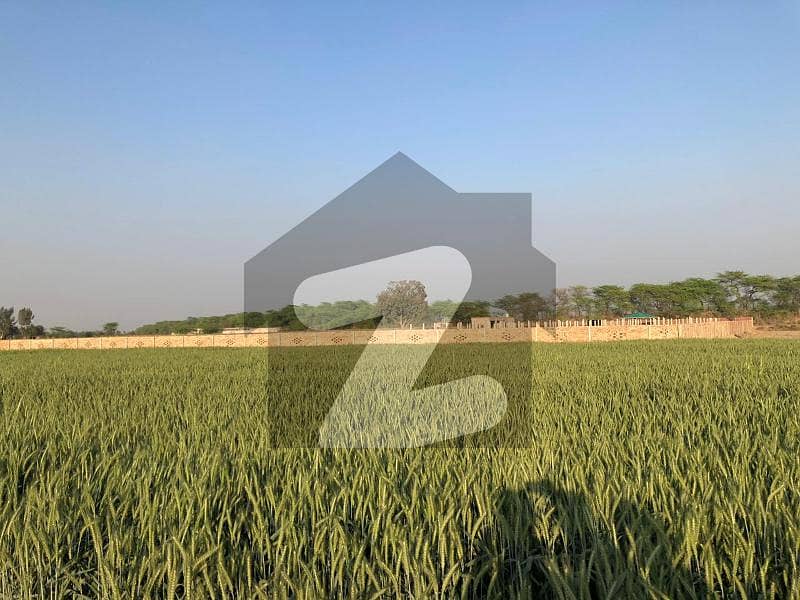جاہمن لاہور میں 2 کنال زرعی زمین 30.0 لاکھ میں برائے فروخت۔