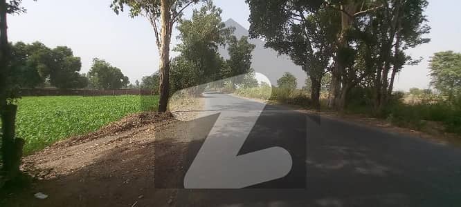 گاگا روڈ لاہور میں 240 کنال زرعی زمین 55.8 کروڑ میں برائے فروخت۔